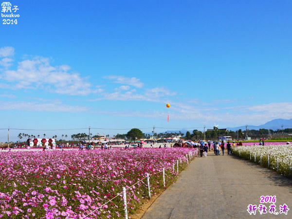 2014新社花海：2014新社花海暨台中國際花毯節，散步賞花去～