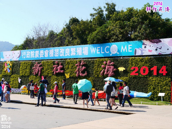 2014新社花海：2014新社花海暨台中國際花毯節，散步賞花去～