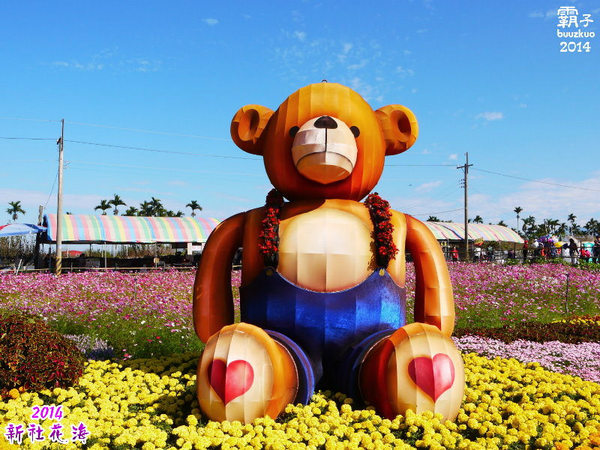 2014新社花海：2014新社花海暨台中國際花毯節，散步賞花去～
