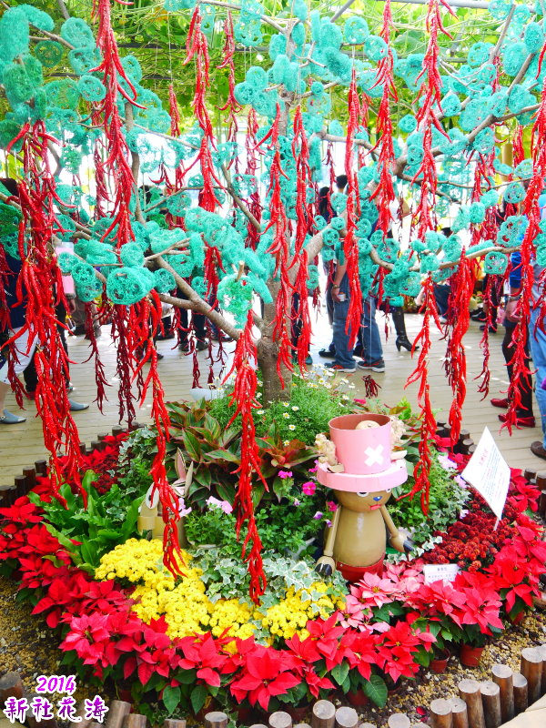 2014新社花海：2014新社花海暨台中國際花毯節，散步賞花去～