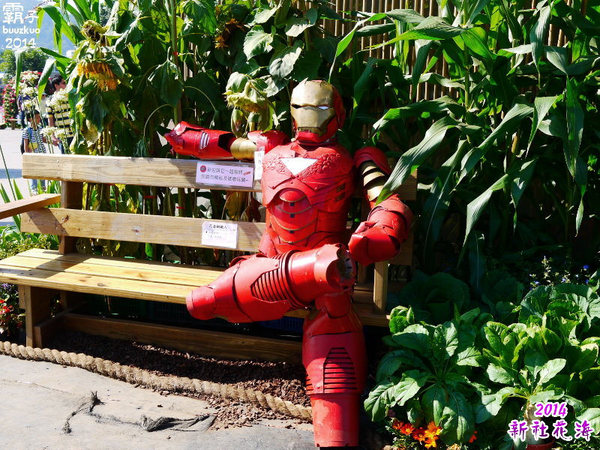 2014新社花海：2014新社花海暨台中國際花毯節，散步賞花去～