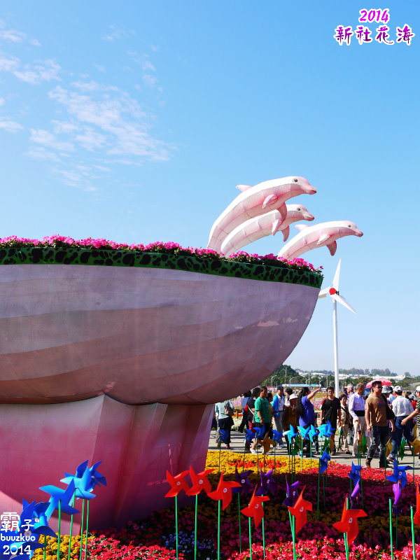 2014新社花海：2014新社花海暨台中國際花毯節，散步賞花去～