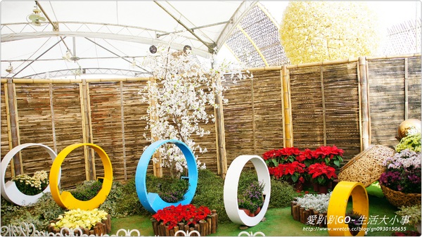 101年新社花海&台中國際花毯節：【台中/新社】美到不行~2012新社花海節