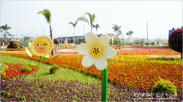 101年新社花海&台中國際花毯節：【台中/新社】美到不行~2012新社花海節