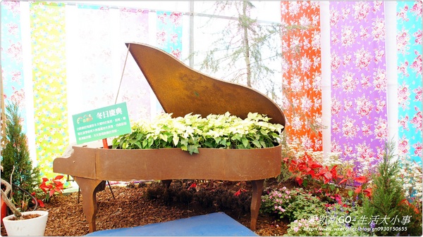 101年新社花海&台中國際花毯節：【台中/新社】美到不行~2012新社花海節