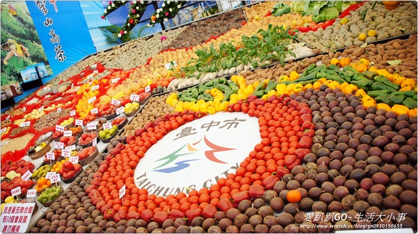 101年新社花海&台中國際花毯節：【台中/新社】美到不行~2012新社花海節