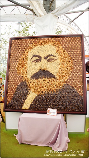 101年新社花海&台中國際花毯節：【台中/新社】美到不行~2012新社花海節