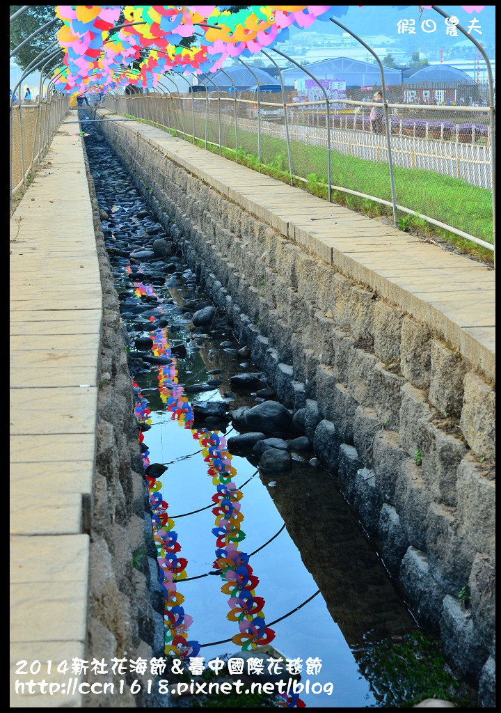 2014新社花海節＆臺中國際花毯節DSC_4831