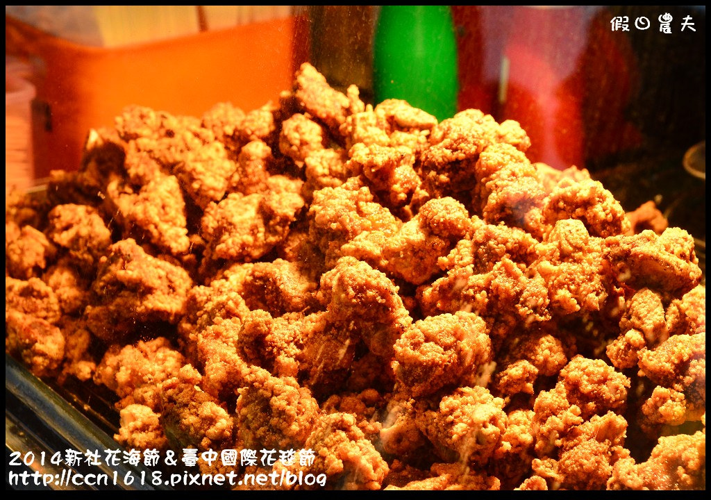 2014新社花海節＆臺中國際花毯節DSC_5136