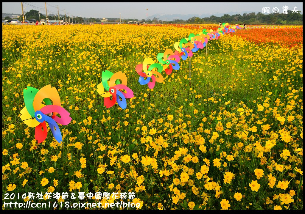 2014新社花海節＆臺中國際花毯節DSC_4864