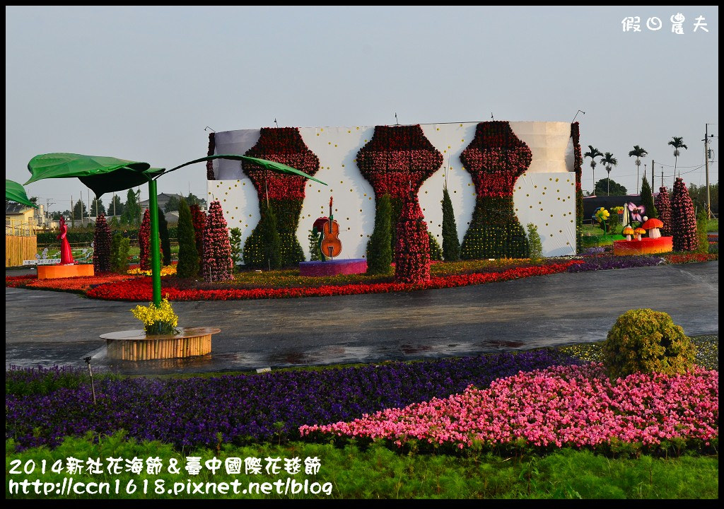 2014新社花海節＆臺中國際花毯節DSC_4876