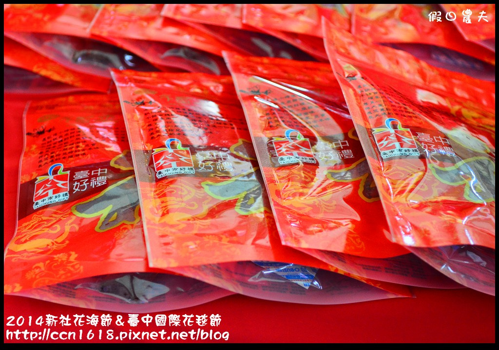 2014新社花海節＆臺中國際花毯節DSC_5075