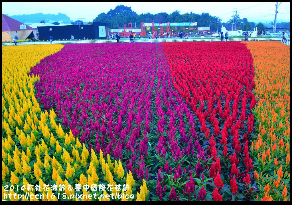 2014新社花海節＆臺中國際花毯節DSC_4814