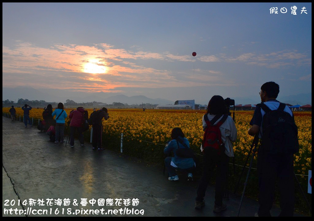 2014新社花海節＆臺中國際花毯節DSC_4832