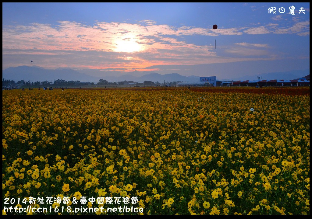 2014新社花海節＆臺中國際花毯節DSC_4829