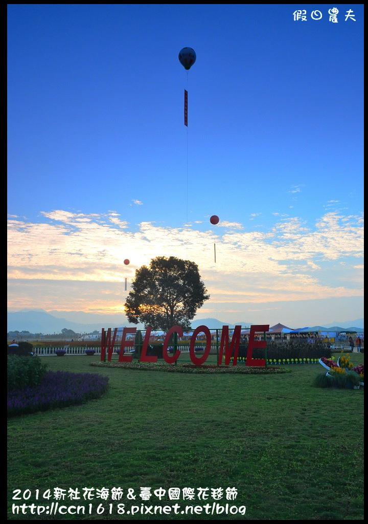 2014新社花海節＆臺中國際花毯節DSC_4809
