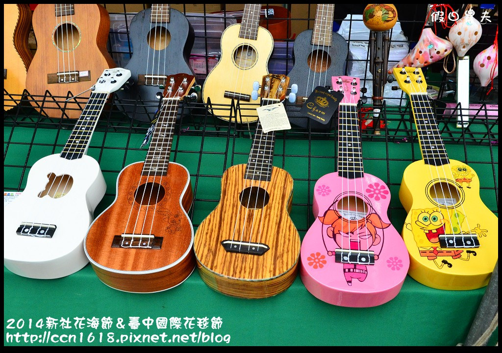 2014新社花海節＆臺中國際花毯節DSC_5160