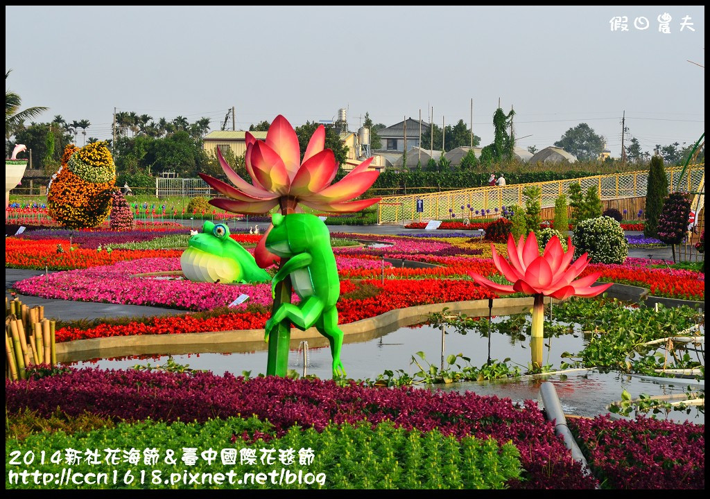 2014新社花海節＆臺中國際花毯節DSC_4875