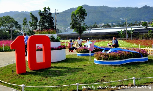 2015臺中花毯節-48.JPG