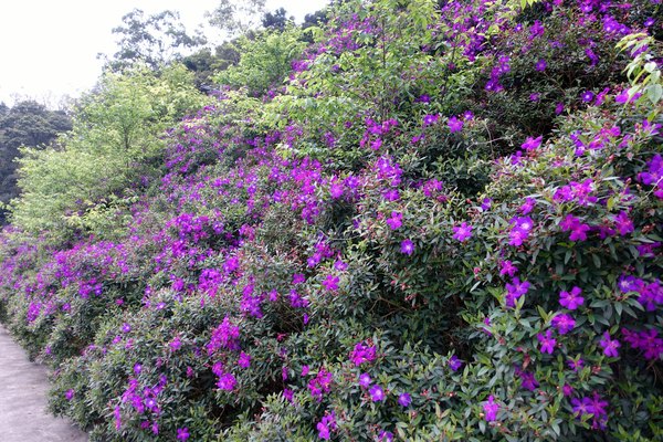 LOFT17 森活休閒園區：(胖樺食記)石碇山中靜謐優雅必訪咖啡廳「LOFT17 森活休閒園區」，腹地廣大風景優美如詩如畫/家族聚會尾牙春酒