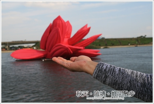 新屋後湖埤,黄色小鴨桃園逗留處:秋天陂塘鄉間散步【2013桃園縣地景廣場藝術節】