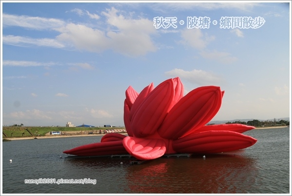 新屋後湖埤,黄色小鴨桃園逗留處:秋天陂塘鄉間散步【2013桃園縣地景廣場藝術節】