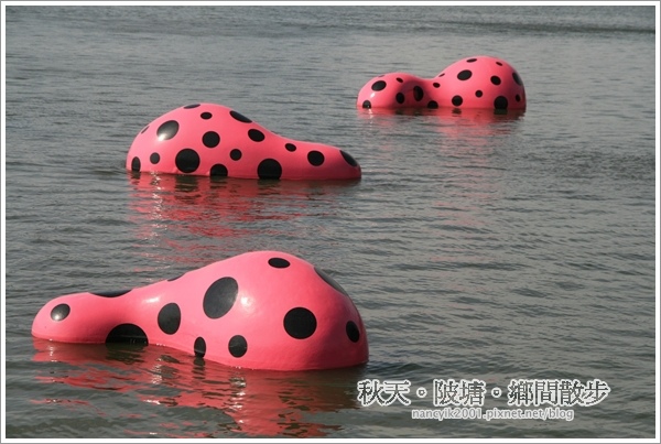 新屋後湖埤,黄色小鴨桃園逗留處:秋天陂塘鄉間散步【2013桃園縣地景廣場藝術節】