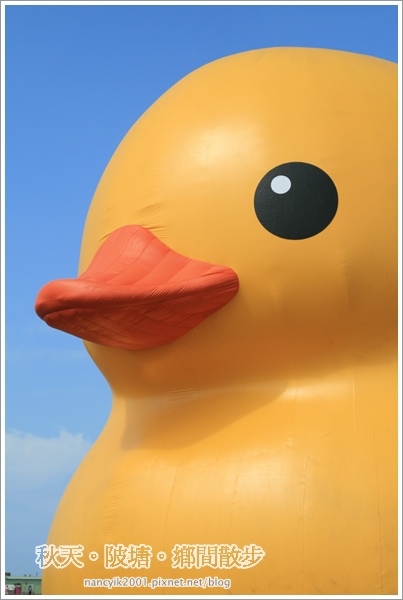 新屋後湖埤,黄色小鴨桃園逗留處:秋天陂塘鄉間散步【2013桃園縣地景廣場藝術節】
