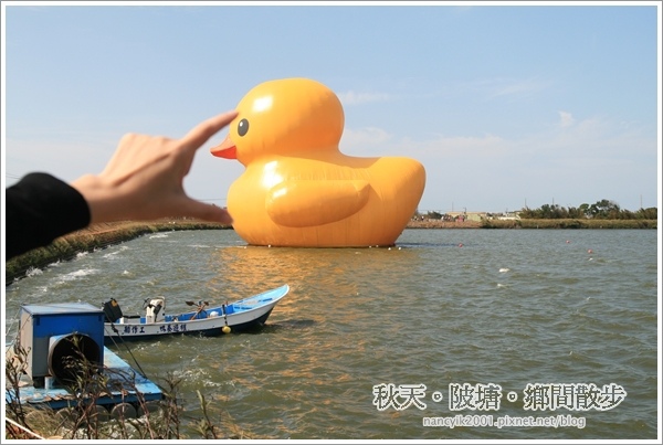 新屋後湖埤,黄色小鴨桃園逗留處:秋天陂塘鄉間散步【2013桃園縣地景廣場藝術節】