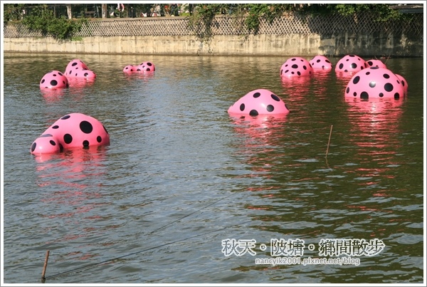 新屋後湖埤,黄色小鴨桃園逗留處:秋天陂塘鄉間散步【2013桃園縣地景廣場藝術節】