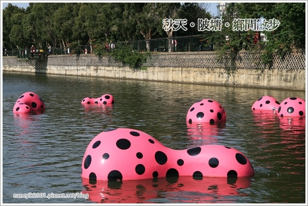新屋後湖埤,黄色小鴨桃園逗留處:秋天陂塘鄉間散步【2013桃園縣地景廣場藝術節】