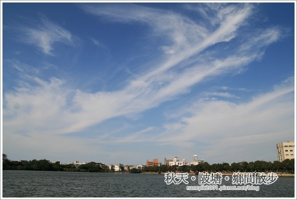 新屋後湖埤,黄色小鴨桃園逗留處:秋天陂塘鄉間散步【2013桃園縣地景廣場藝術節】