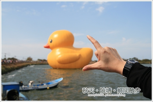 新屋後湖埤,黄色小鴨桃園逗留處:秋天陂塘鄉間散步【2013桃園縣地景廣場藝術節】