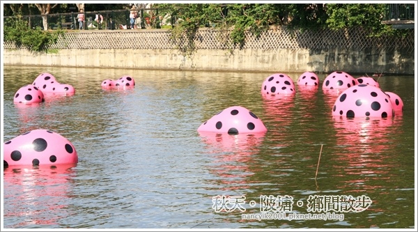 新屋後湖埤,黄色小鴨桃園逗留處:秋天陂塘鄉間散步【2013桃園縣地景廣場藝術節】