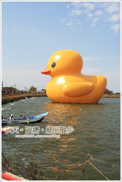 新屋後湖埤,黄色小鴨桃園逗留處:秋天陂塘鄉間散步【2013桃園縣地景廣場藝術節】