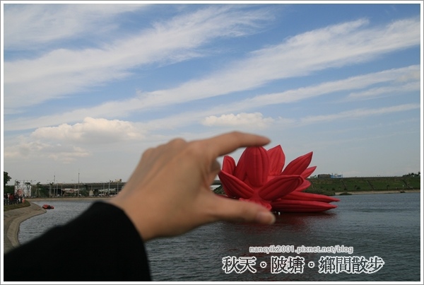 新屋後湖埤,黄色小鴨桃園逗留處:秋天陂塘鄉間散步【2013桃園縣地景廣場藝術節】