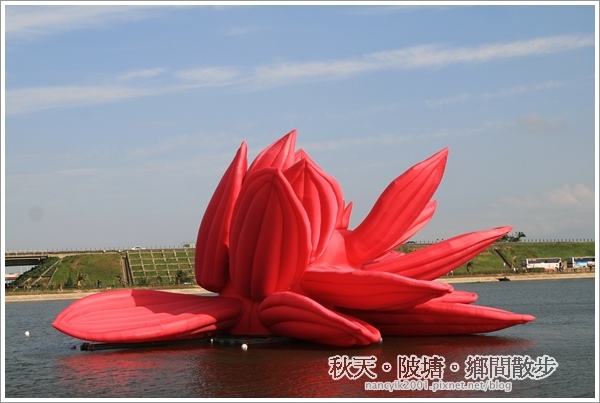 新屋後湖埤,黄色小鴨桃園逗留處:秋天陂塘鄉間散步【2013桃園縣地景廣場藝術節】