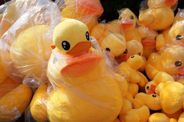 新屋後湖埤,黄色小鴨桃園逗留處:2013桃園最大盛事-黃色小鴨逗留新屋後湖塘【桃園/新屋】