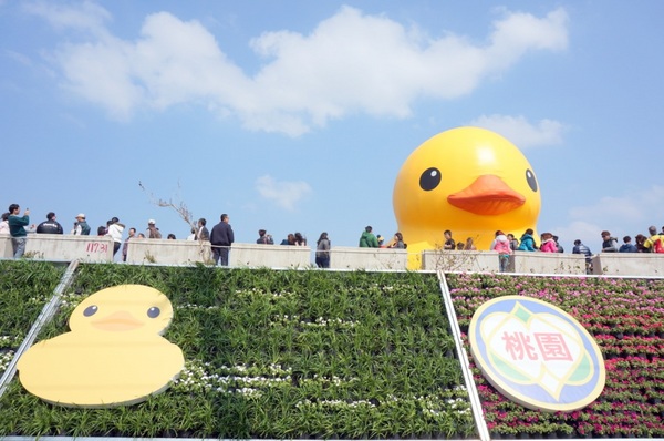 新屋後湖埤,黄色小鴨桃園逗留處:2013桃園最大盛事-黃色小鴨逗留新屋後湖塘【桃園/新屋】