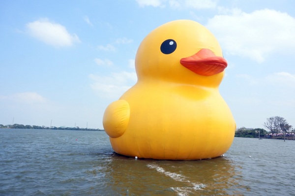 新屋後湖埤,黄色小鴨桃園逗留處:2013桃園最大盛事-黃色小鴨逗留新屋後湖塘【桃園/新屋】