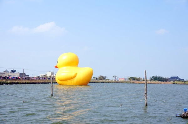 新屋後湖埤,黄色小鴨桃園逗留處:2013桃園最大盛事-黃色小鴨逗留新屋後湖塘【桃園/新屋】
