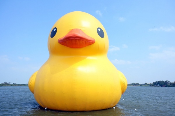 新屋後湖埤,黄色小鴨桃園逗留處:2013桃園最大盛事-黃色小鴨逗留新屋後湖塘【桃園/新屋】