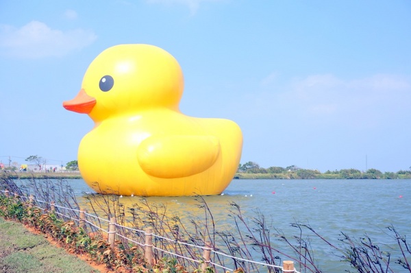 新屋後湖埤,黄色小鴨桃園逗留處:2013桃園最大盛事-黃色小鴨逗留新屋後湖塘【桃園/新屋】