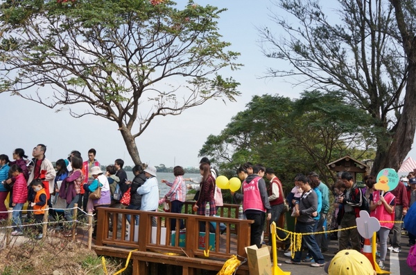 新屋後湖埤,黄色小鴨桃園逗留處:2013桃園最大盛事-黃色小鴨逗留新屋後湖塘【桃園/新屋】