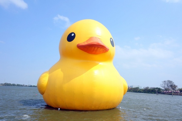 新屋後湖埤,黄色小鴨桃園逗留處:2013桃園最大盛事-黃色小鴨逗留新屋後湖塘【桃園/新屋】