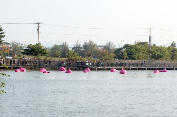 新屋後湖埤,黄色小鴨桃園逗留處:2013桃園最大盛事-黃色小鴨逗留新屋後湖塘【桃園/新屋】