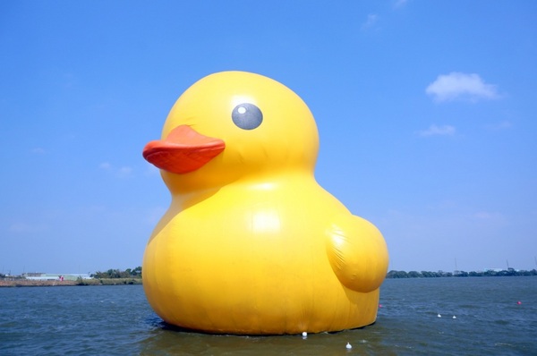 新屋後湖埤,黄色小鴨桃園逗留處:2013桃園最大盛事-黃色小鴨逗留新屋後湖塘【桃園/新屋】