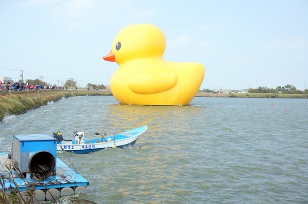 新屋後湖埤,黄色小鴨桃園逗留處:2013桃園最大盛事-黃色小鴨逗留新屋後湖塘【桃園/新屋】