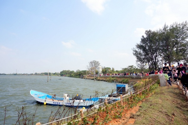 新屋後湖埤,黄色小鴨桃園逗留處:2013桃園最大盛事-黃色小鴨逗留新屋後湖塘【桃園/新屋】
