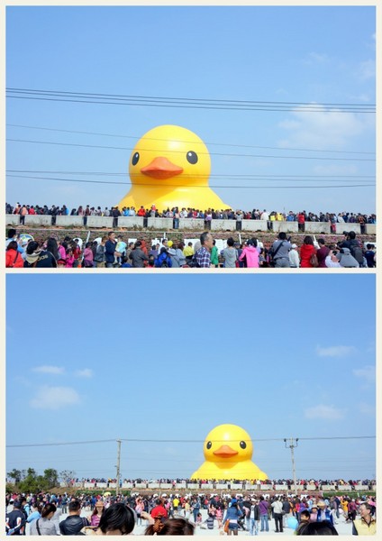 新屋後湖埤,黄色小鴨桃園逗留處:2013桃園最大盛事-黃色小鴨逗留新屋後湖塘【桃園/新屋】